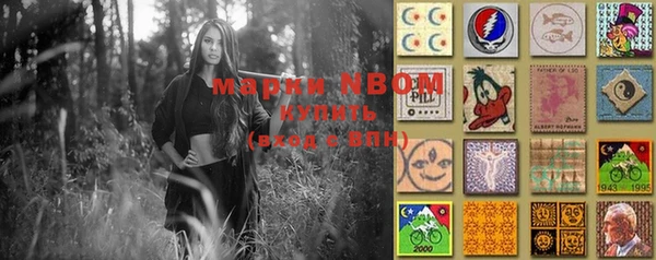 стафф Куйбышев