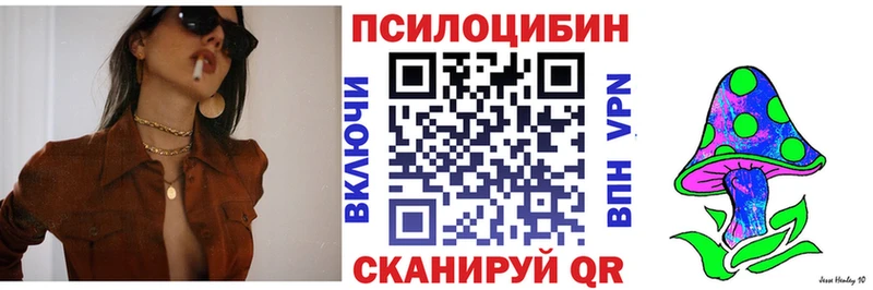 Купить  Лабинск  Псилоцибиновые грибы мицелий 